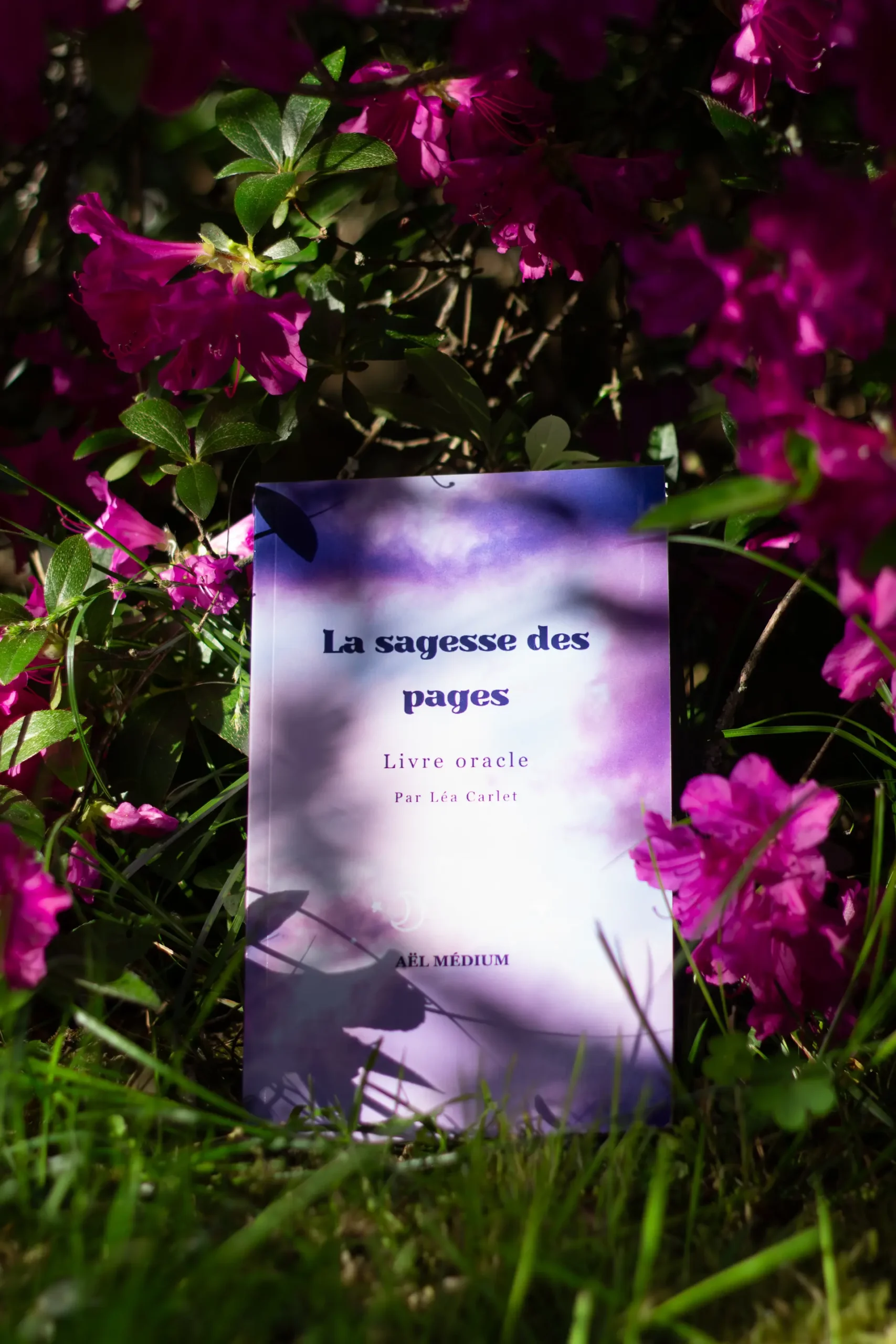 Couverture du livre oracle "La sagesse des pages" de Léa Carlet, sur fond de ciel rose et violet